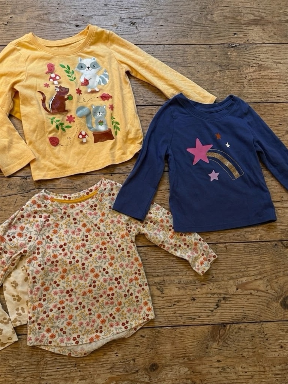 Huge Fall Autumn Halloween, Toddler Girl Clothing Lot Bundle 18M 24M 2T Seasonal - Picture 6 of 9
